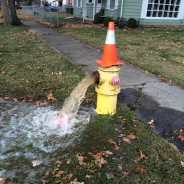 Flint water crisis “a shocking denial of what should be a right,”  NRDC expert tells visiting scribes