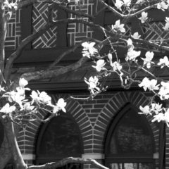 East Village Magazine – May 2016