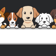 Free lead testing for dogs offered by Humane Society