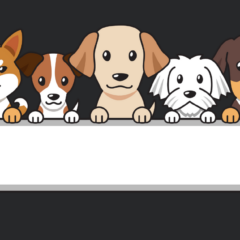 Free lead testing for dogs offered by Humane Society