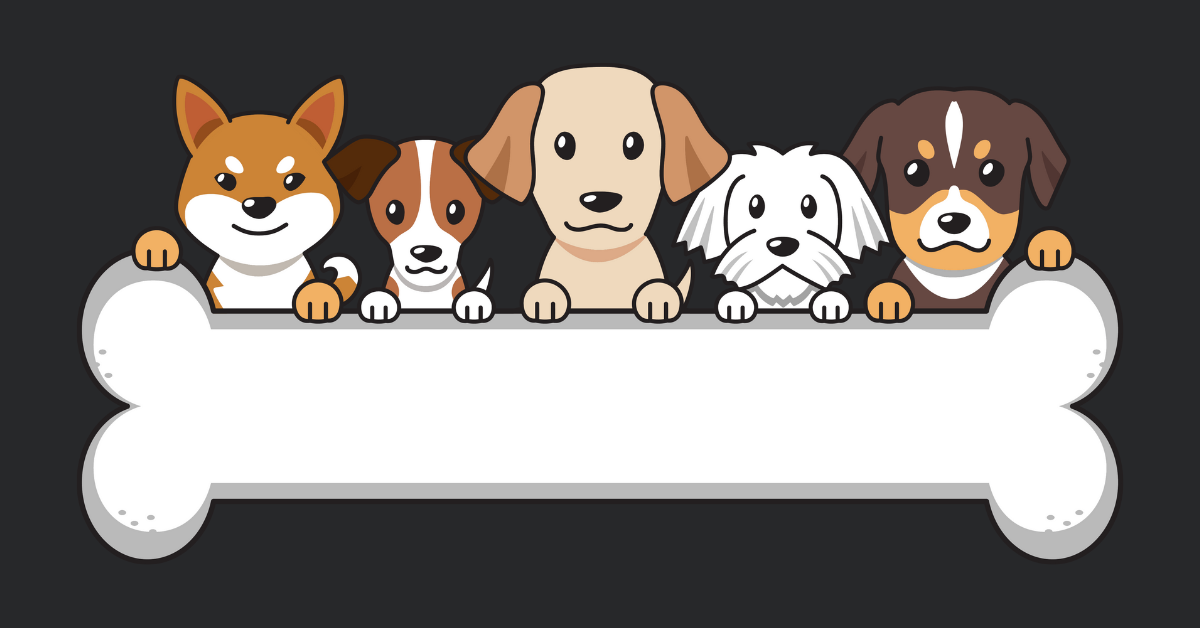 Free lead testing for dogs offered by Humane Society