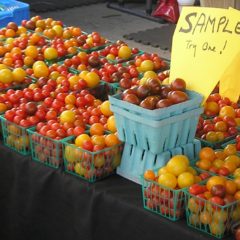 News Briefs Aug. 10-20: Hazardous materials recycling, lead-fighting nutrients