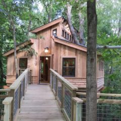 Essay: For-Mar treehouse a childhood fantasy brought to life–by TV masters