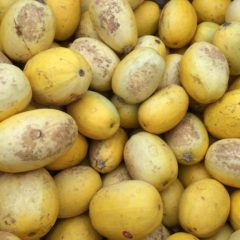 Free squash, carrots available for the taking at Woodside Church
