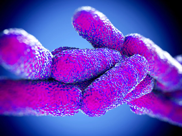 Shigella update:  bacteria not spread through Flint-area drinking water, CDC officials suggest