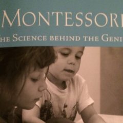 Montessori classroom offers new learning options for Flint public schools