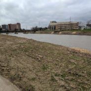 Coal tar coming out of Flint River as Consumers’ remediation, re-naturalization proceeds