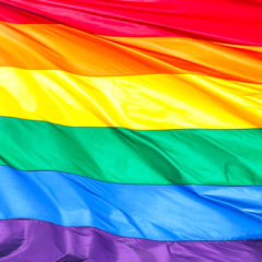 On the last day of the month, Mayor Neeley officially recognizes June as Pride Month for City of Flint