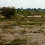 Lear Corporation to bring assembly plant, up to 500 jobs to former Buick City site