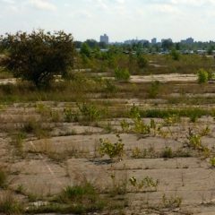 Lear Corporation to bring assembly plant, up to 500 jobs to former Buick City site