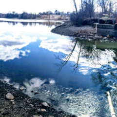 Seasonal deluges cause Thread Lake Dam breach, Hamilton Dam delays