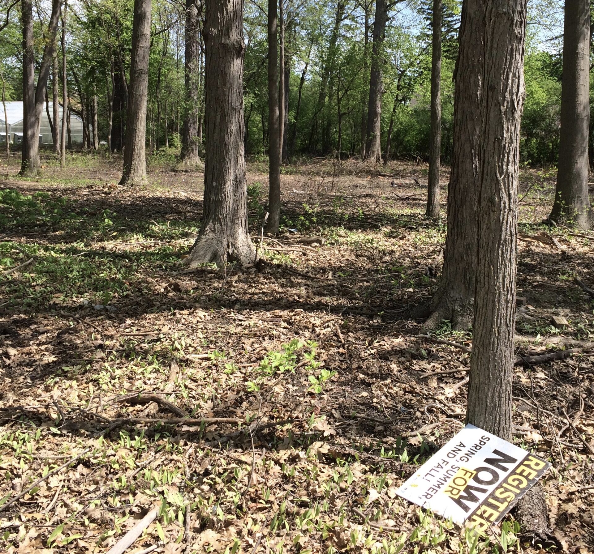 As Woodside takes on new life in its MCC era, neighbors praise, question and complain