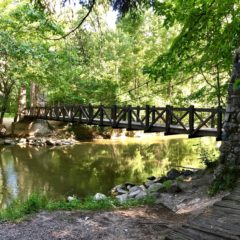 Commentary:   At 50-year milestone, our parks–our gems–are worth celebrating