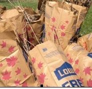320 volunteers, 412 bags of trash: Flint River gets love, spring makeover