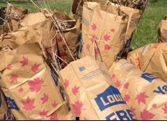 320 volunteers, 412 bags of trash: Flint River gets love, spring makeover