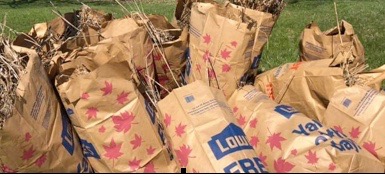 320 volunteers, 412 bags of trash: Flint River gets love, spring makeover