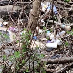 Loving Gilkey Creek, one neighbor at a time:  residents plead “no dumping”