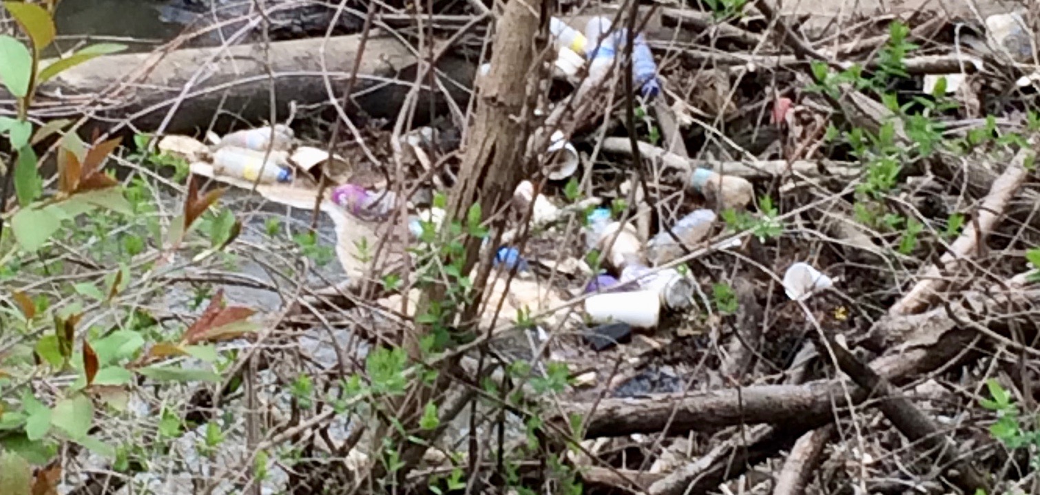 Loving Gilkey Creek, one neighbor at a time:  residents plead “no dumping”
