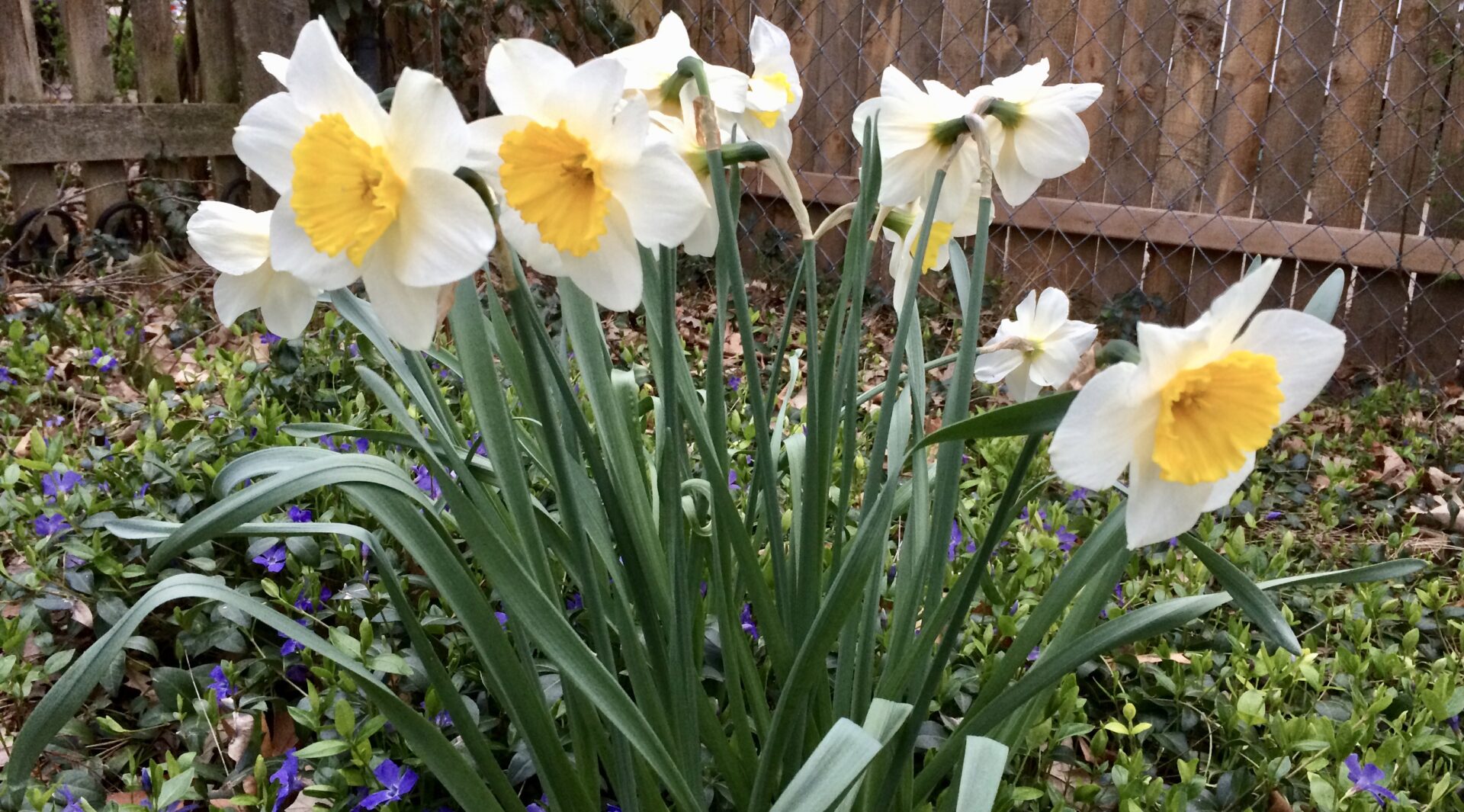 This Month in the Village:  May features live music, story time, Jersey Boys, Flint City Bucks and more