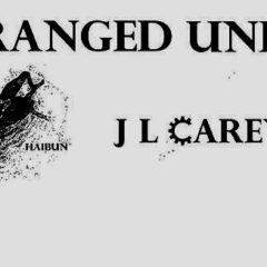 EVM staffer, poet Jeffery L Carey Jr launches new book Saturday at Totem