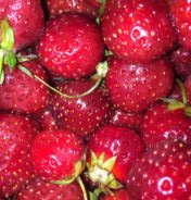 With masks, gloves, sanitizing in place,  Flint Farmers’ Market plans phased reopening June 2
