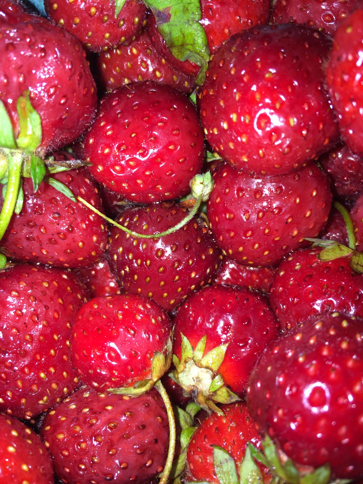 With masks, gloves, sanitizing in place,  Flint Farmers’ Market plans phased reopening June 2