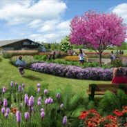 Creating Sanctuary in Pierce Park:  “To heal ourselves and heal the land”