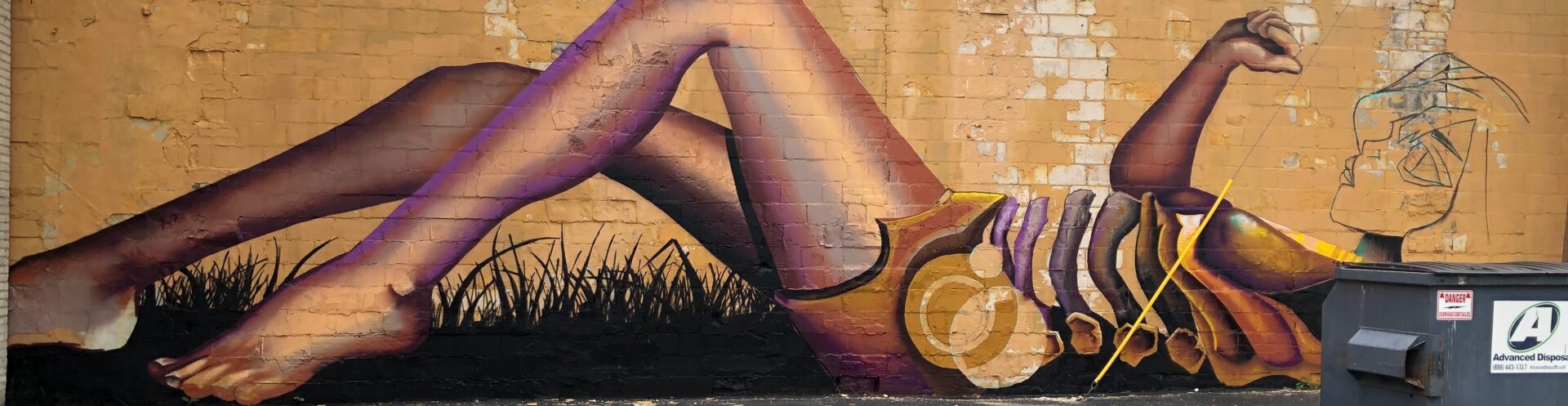 In the midst of celebration, one mural protest raises questions about public art