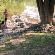 Kids, Mayor Weaver release 125 baby sturgeon, cousins of T-Rex, into Flint River