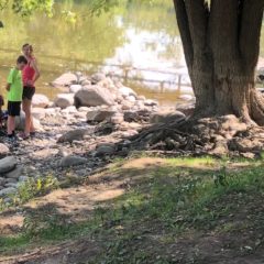 Kids, Mayor Weaver release 125 baby sturgeon, cousins of T-Rex, into Flint River