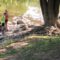 Kids, Mayor Weaver release 125 baby sturgeon, cousins of T-Rex, into Flint River