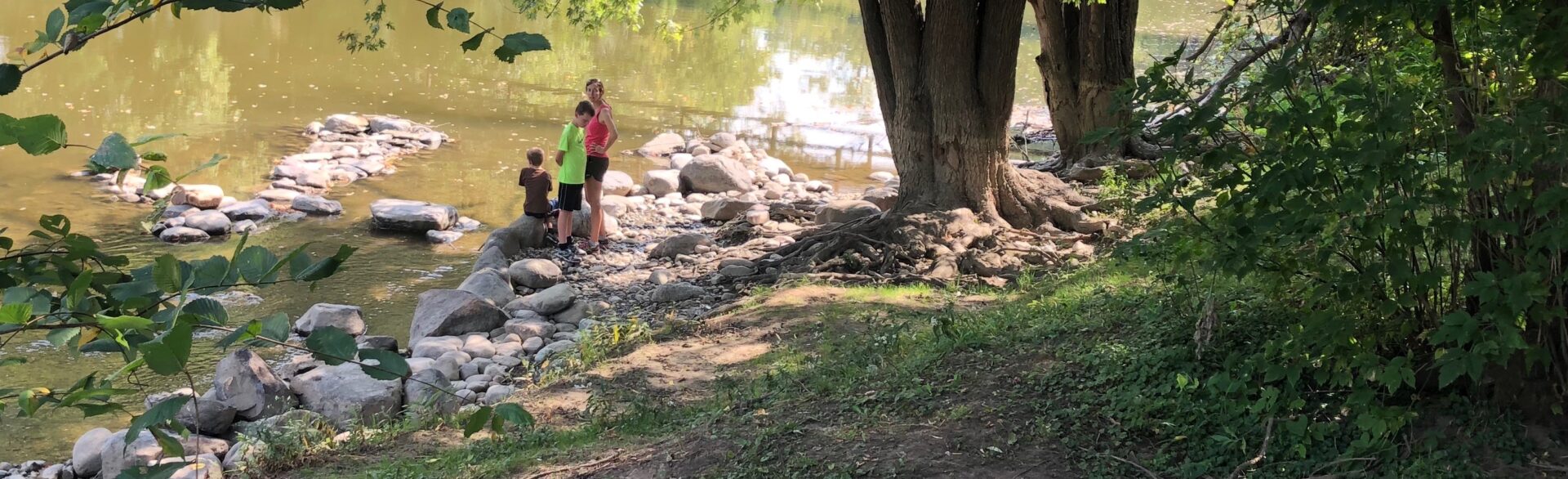 Kids, Mayor Weaver release 125 baby sturgeon, cousins of T-Rex, into Flint River