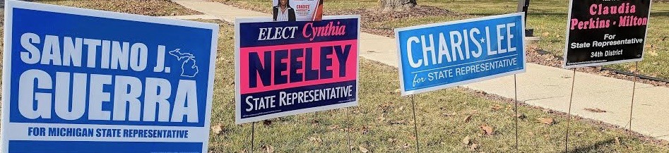 Cynthia Neeley wins nomination over nine Dems in 34th District primary; turnout 6.7 percent