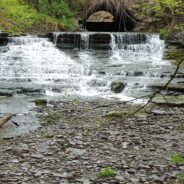 Genesee Earth Week set to celebrate 50th Anniversary of Earth Day