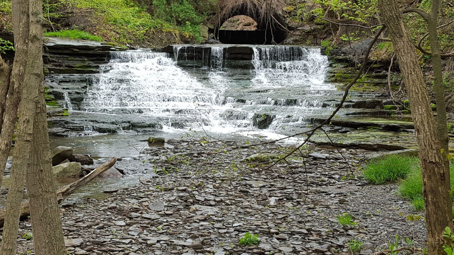 Genesee Earth Week set to celebrate 50th Anniversary of Earth Day