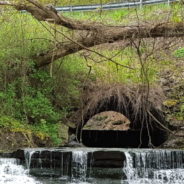 Last piece of Flint River-Genesee Valley trail acquired;  links Flint to statewide Iron Belle trail