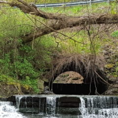Last piece of Flint River-Genesee Valley trail acquired;  links Flint to statewide Iron Belle trail