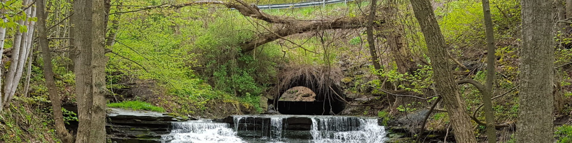 Last piece of Flint River-Genesee Valley trail acquired; links Flint to statewide Iron Belle trail