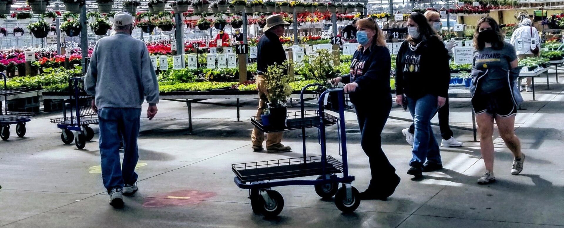 Local nursery owner coping with restrictions tells gardeners: keep tilling the soil for that “Covid-19 Victory Garden”