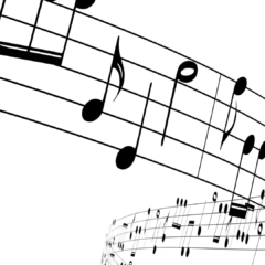From porches and dining rooms, local musicians are playing the pandemic blues