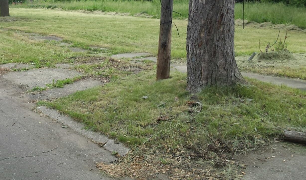 Land Bank seeks seasonal/temporary workers for $11/hour 40 hour work week on mowing and trash abatement crews