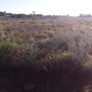 Village Life:  26 miles on foot in Flint, Connor Coyne’s walk is both ancient and intimate