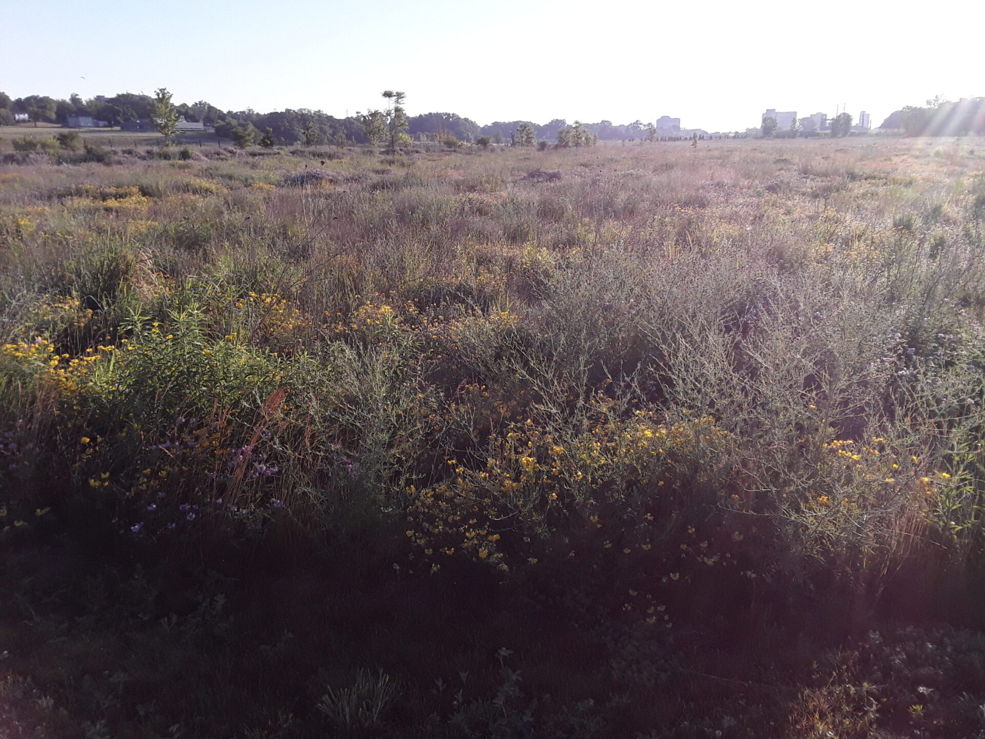 Village Life:  26 miles on foot in Flint, Connor Coyne’s walk is both ancient and intimate