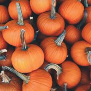 Mayor warns against door-to-door trick-or-treating as Coronavirus cases and deaths surge, alternative trick-or-treating venues offered