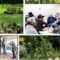 Genesee County Land Bank accepting applications for 2021 Clean & Green season