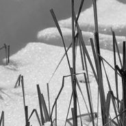 The East Village Magazine – March 2021