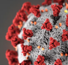 Vaccine Beat:  Genesee County is 24% fully vaccinated; MTA providing free transport to vaccination sites