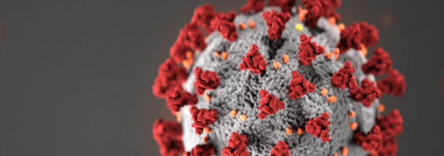 Vaccine Beat:  Genesee County is 24% fully vaccinated; MTA providing free transport to vaccination sites