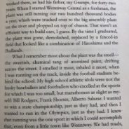 Book Review: In  “Running for Home” descendants of the Sit Down Strike find their race tough to win, no matter how fast they run
