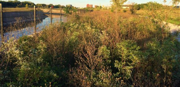 Profile: “What if he had opened his eyes?”  Kelsey Ronan on grief, healing, breaking a curse in “Chevy in the Hole”